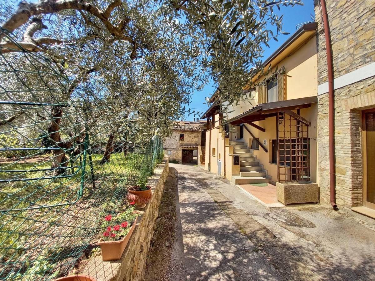 B&B Torrematta Assisi Exteriör bild