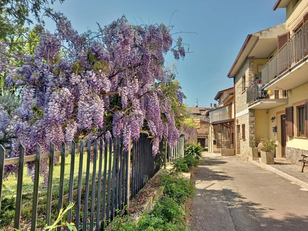 B&B Torrematta Assisi Exteriör bild