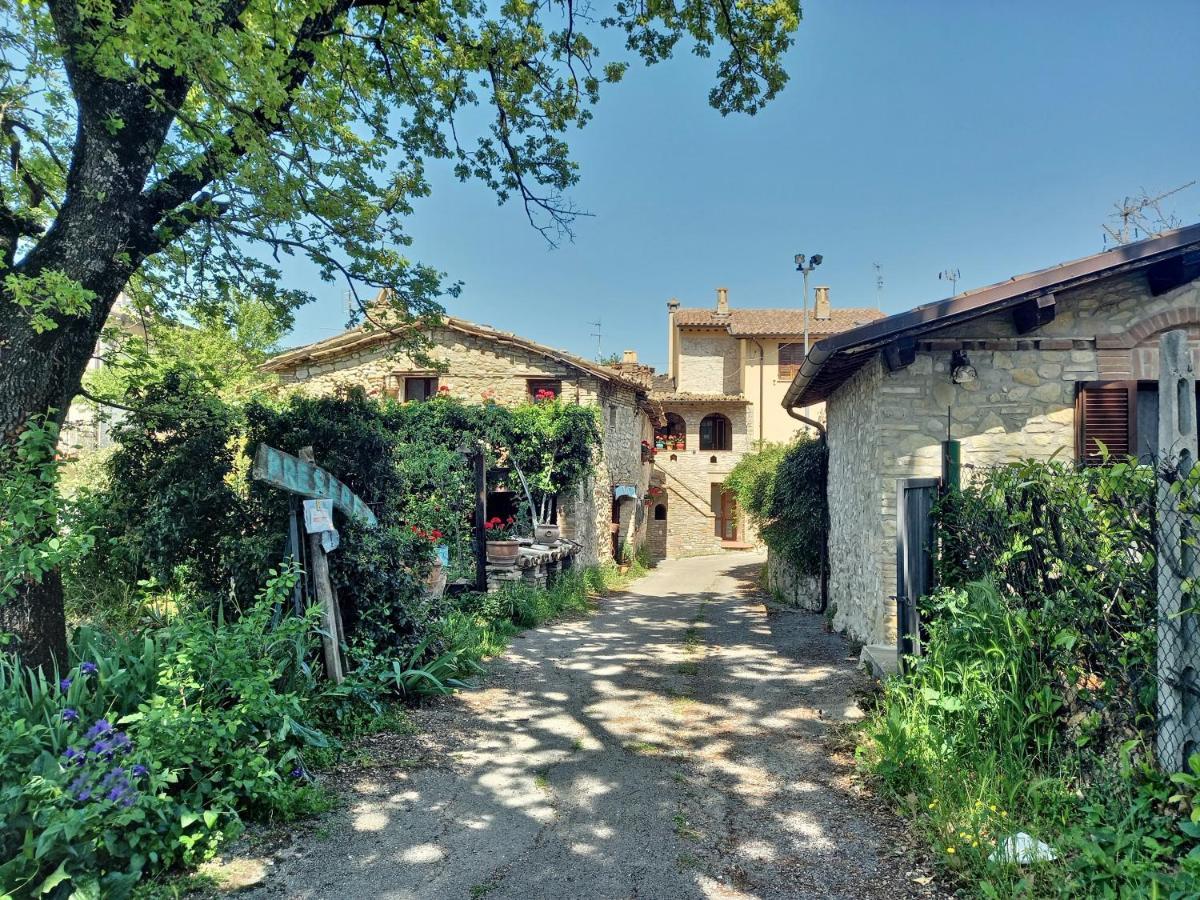 B&B Torrematta Assisi Exteriör bild