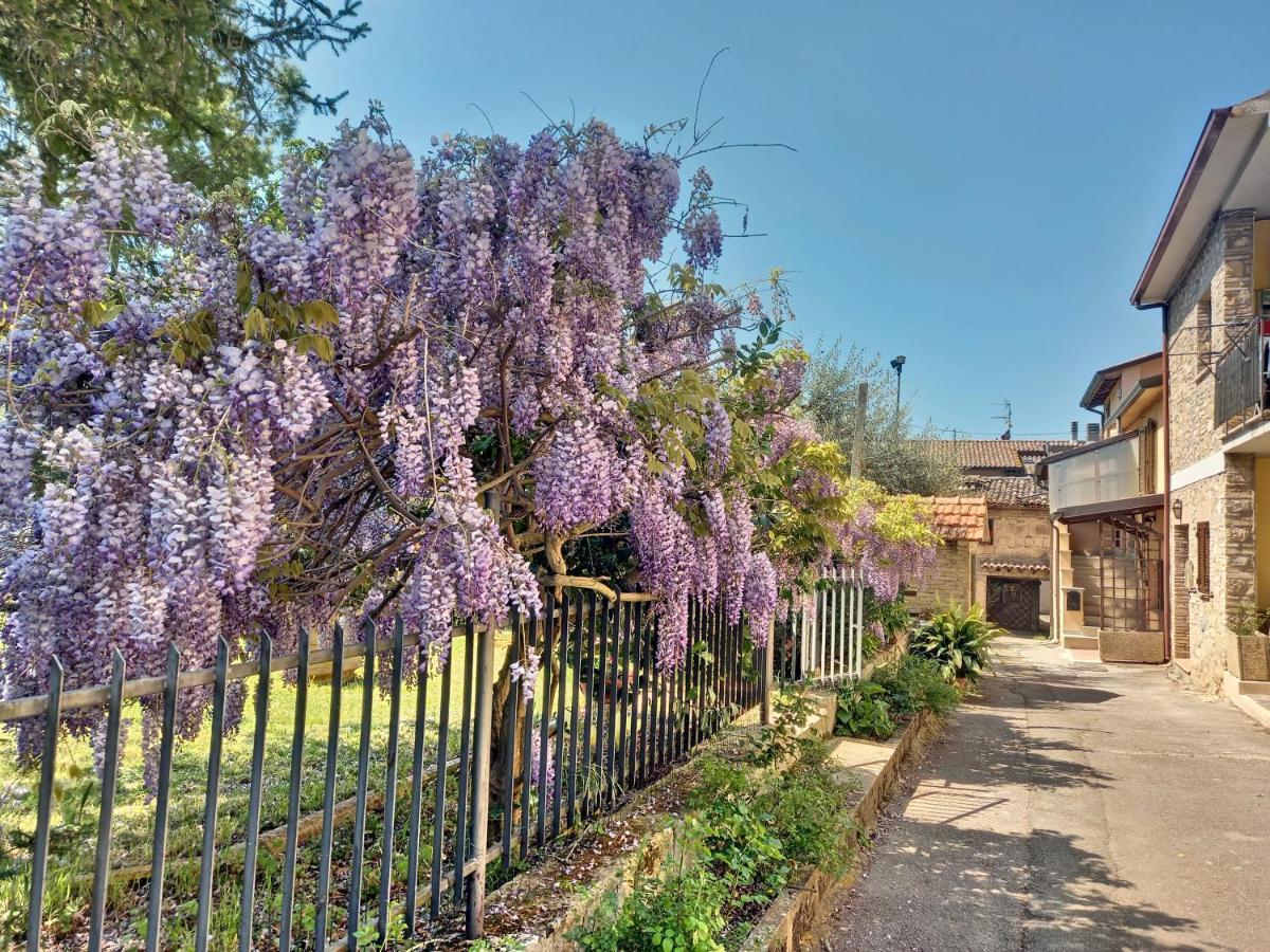 B&B Torrematta Assisi Exteriör bild