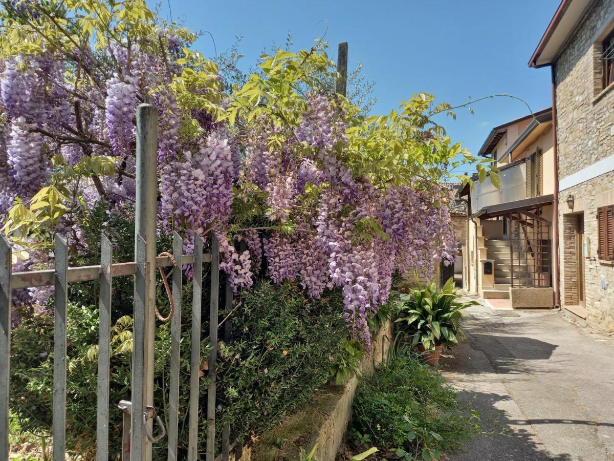 B&B Torrematta Assisi Exteriör bild