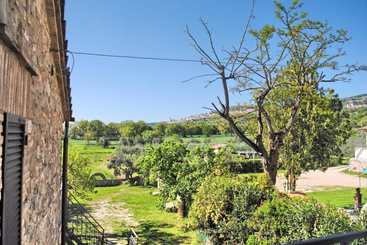 B&B Torrematta Assisi Exteriör bild