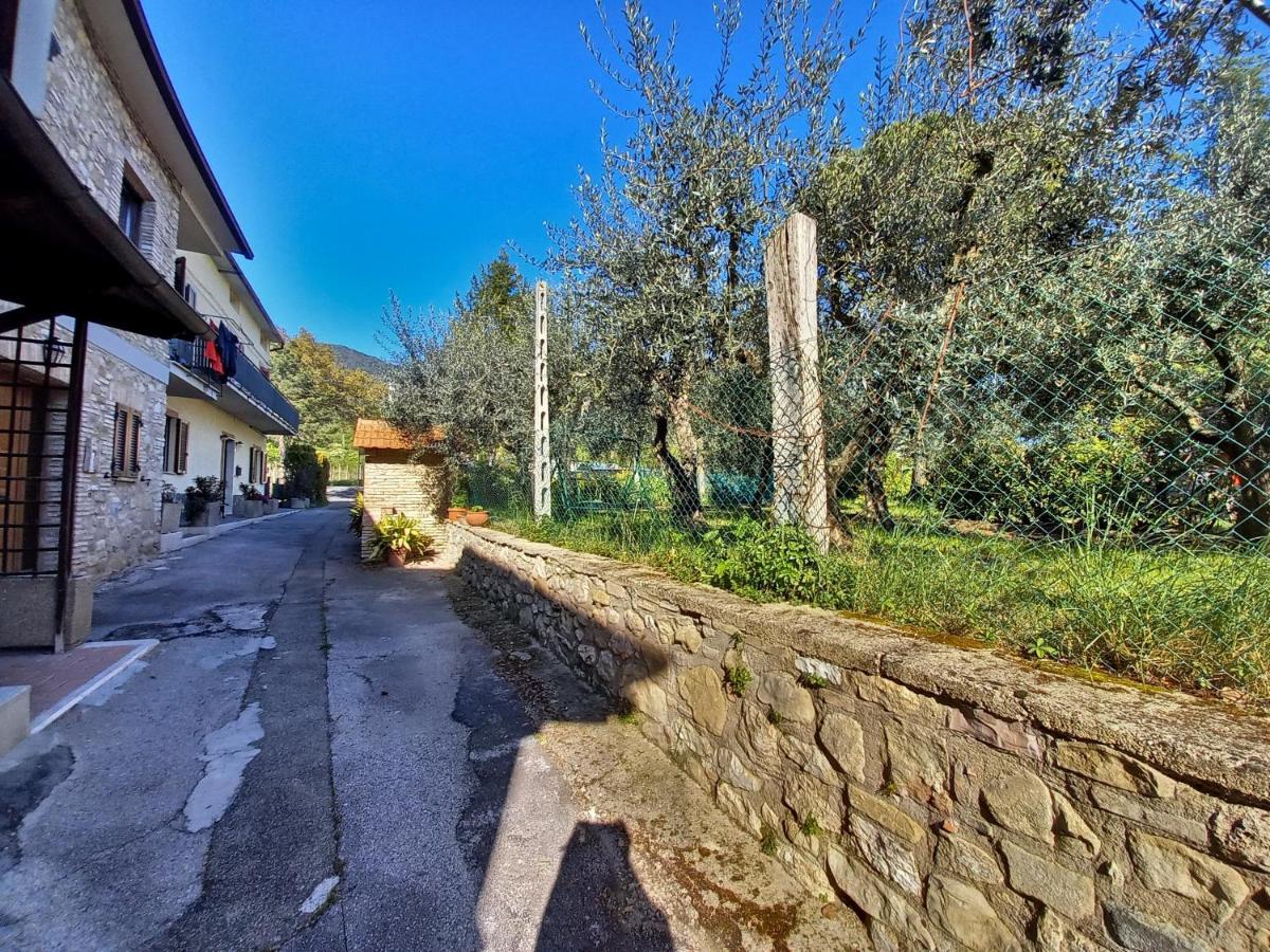 B&B Torrematta Assisi Exteriör bild