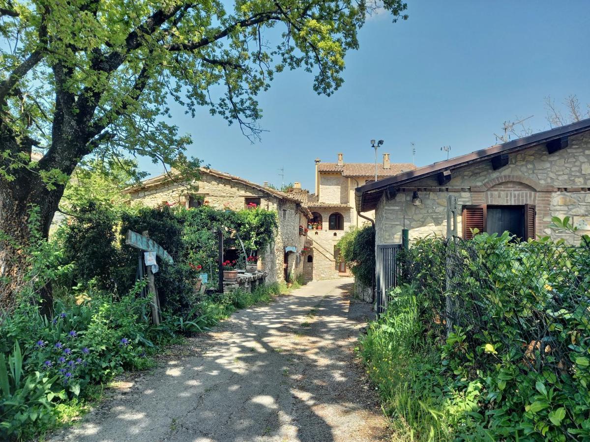 B&B Torrematta Assisi Exteriör bild